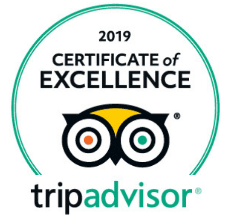 trip advisor